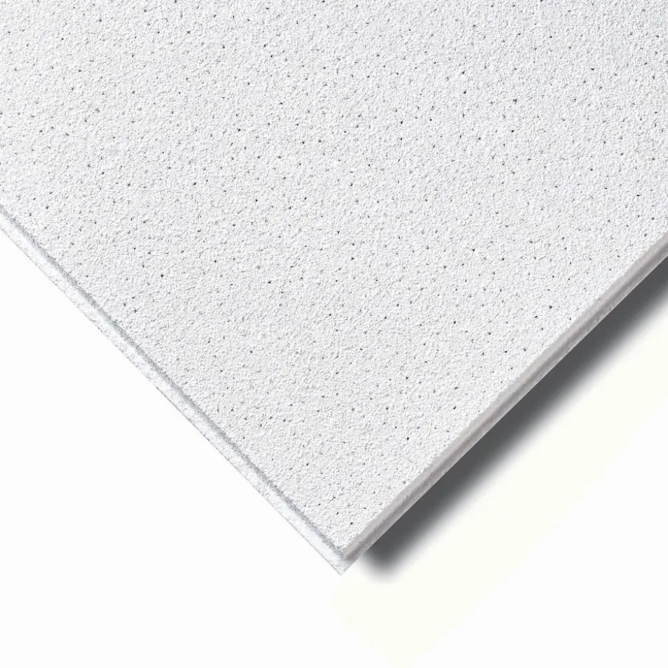 Agnes One-Step Plafondplond Stuc Wit Vochtwerend 620x1220x12mm 4st 70% PEFC