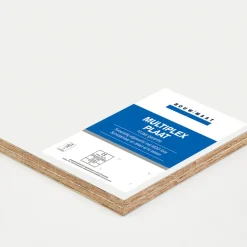 BM Paint Multip.plaat 15jr Garantie 2500x1220x10mm FSC Mix 70%