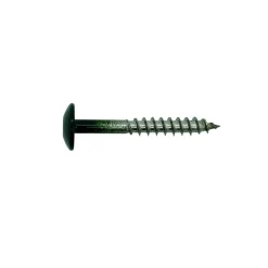 Bouwmaat HPL Schroef RVS Donkergroen 4,8x38mm T20 100st