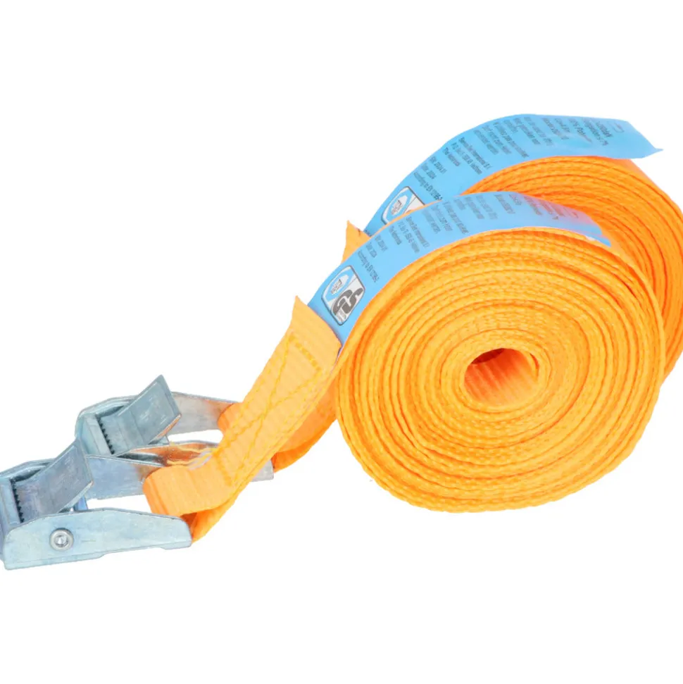 Carpoint Spanbanden 2,5m 2stuks