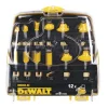 DeWALT Frezenset DT90016-QZ 12-delig
