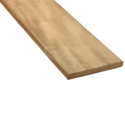 Elephant Almendrillo Schuttingplank 16x145x3050mm FSC Mix 70%