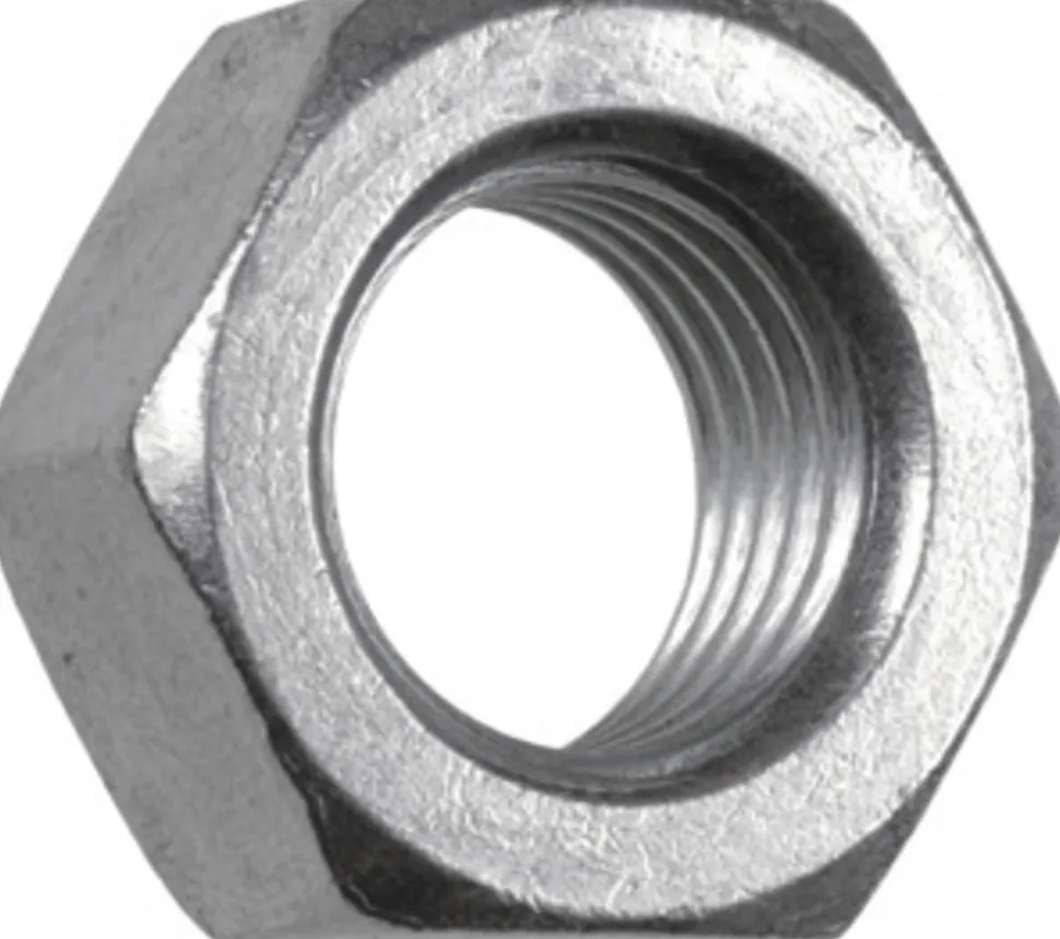 FIS Profi Moer Zeskant Verzinkt 16x13mm 40st