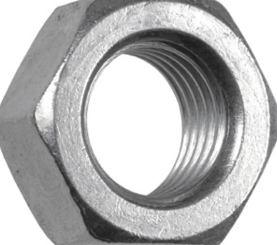 FIS Profi Moer Zeskant Verzinkt 6x5mm 100st