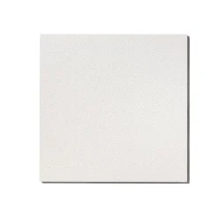KCS Plafondplaat Armstrong Sahara Board 600x1200x15mm 10st