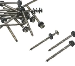 Monier Schroef RVS 5x50mm Voldraad Torx incl. Bit 100st