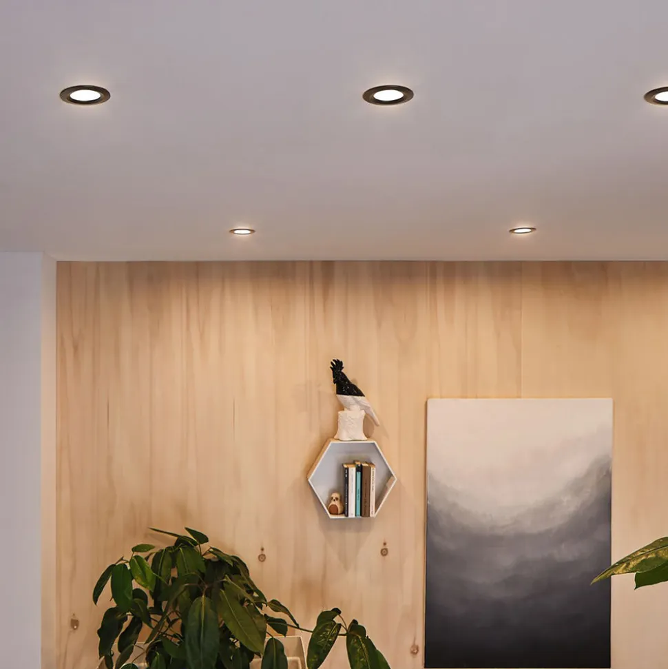 Paulmann Inbouwspot Nova Plus Mat Zwart Rond 6W Dimbaar Kantelbaar IP65