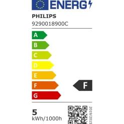 Philips LED Lamp Peer 40W E27 Warmwit Helder