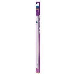 Philips LED TL Buis T8 600mm 8W G13 WW 1CT/4