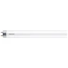 Philips LED TL Buis 8W G13 T8 Koelwit 600mm