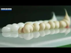 Polyfilla Pro Houtreparatiepasta W370 2K 5-50mm 2x300ml
