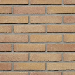 Wienerberger Gevelsteen Beige Rood Vormbak Waalformaat 210x100x50mm