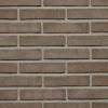 Wienerberger Gevelsteen Bruin Zwart Vormbak Waalformaat 210x100x50mm