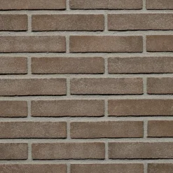 Wienerberger Gevelsteen Bruin Zwart Vormbak Waalformaat 210x100x50mm