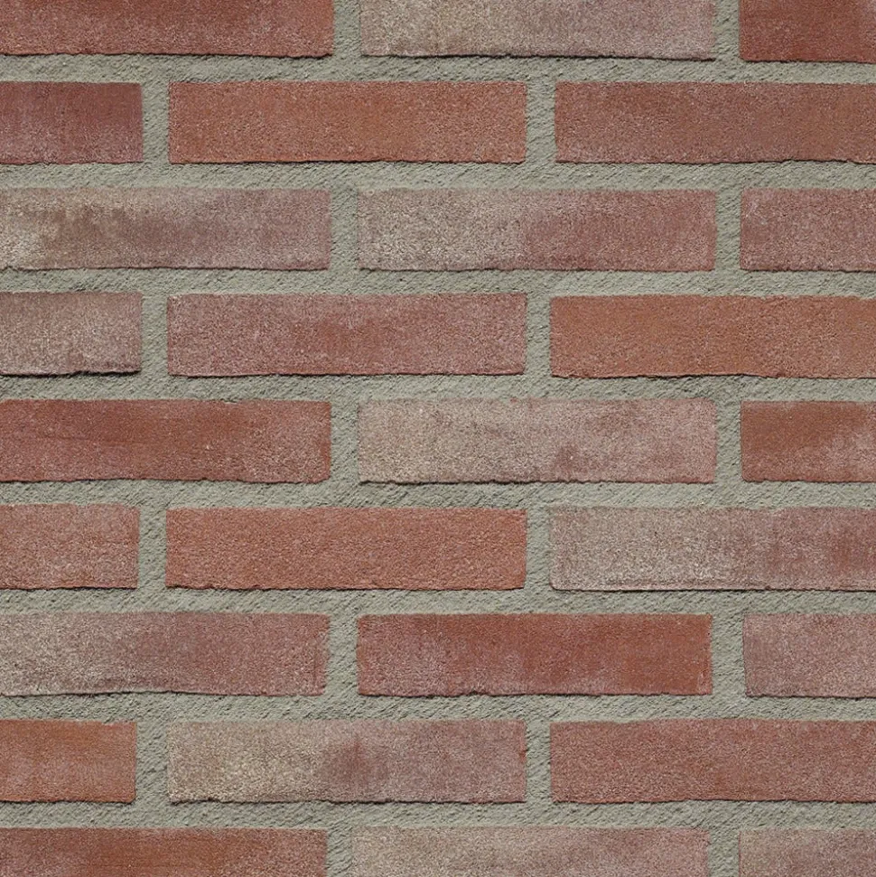 Wienerberger Gevelsteen Oud Rose Klinker Haaften Vormbak Waalformaat 210x100x50mm