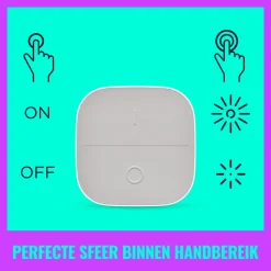 WiZ Portable Button Wit