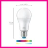 WiZ Slimme LED-Lamp E27 60W A60 Gekleurd en Wit Licht Mat
