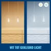 WiZ Slimme LED-Lamp E27 40W Edison Filament Gekleurd en Wit Licht Transparant
