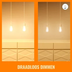 WiZ Slimme LED-Lamp E27 40W Edison Filament Gekleurd en Wit Licht Transparant