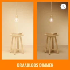 WiZ Slimme LED-Lamp E27 40W Globe Filament G95 Gekleurd en Wit Licht Transparant