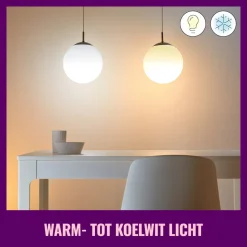 WiZ Slimme LED-Lamp E27 60W Lamp Warm tot Koelwit Licht Mat