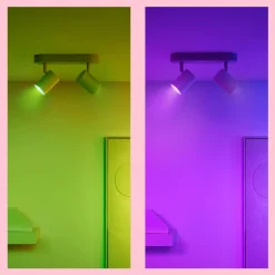 WiZ Slimme LED-Spot GU10 50W Gekleurd Licht Mat 2st