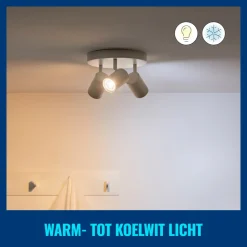 WiZ Slimme LED-Spot GU10 50W Wit Licht Mat 2st