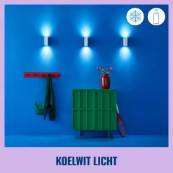 WiZ Slimme LED-Wandlamp Up and Down GU10 5W Gekleurd en Wit Licht Wit 2st