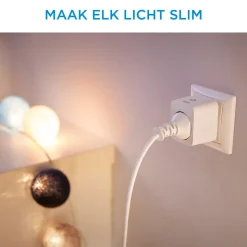 WiZ Slimme Stekker met Powermeter Stekkertype F